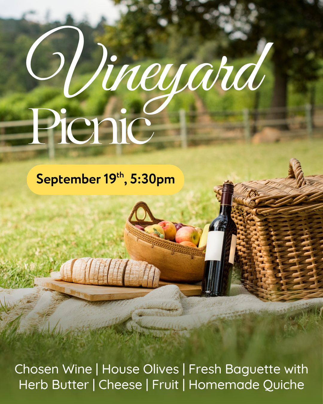Wine Picnic in Vineyard 2025 1